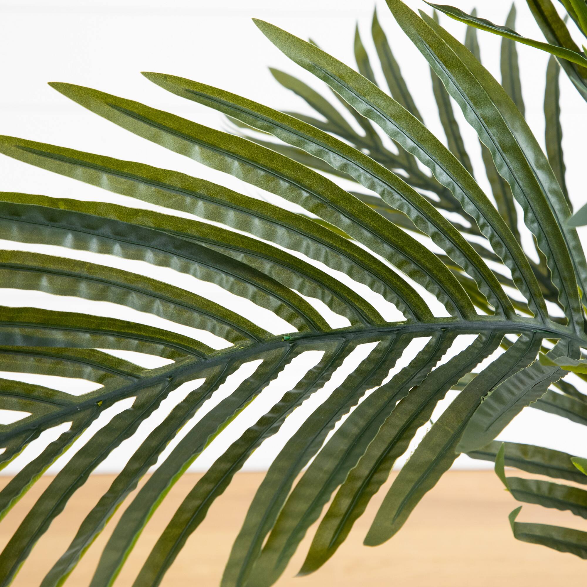 3ft. Potted Golden Cane Palm Tree
